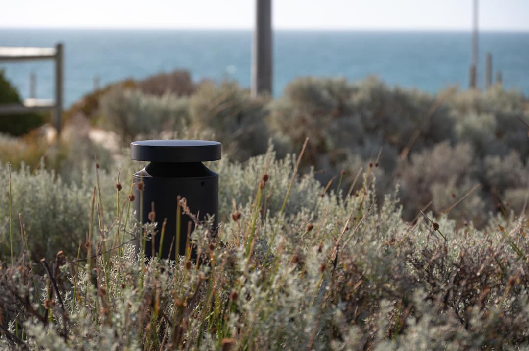 Athena Bollard - In-situ 1.jpeg