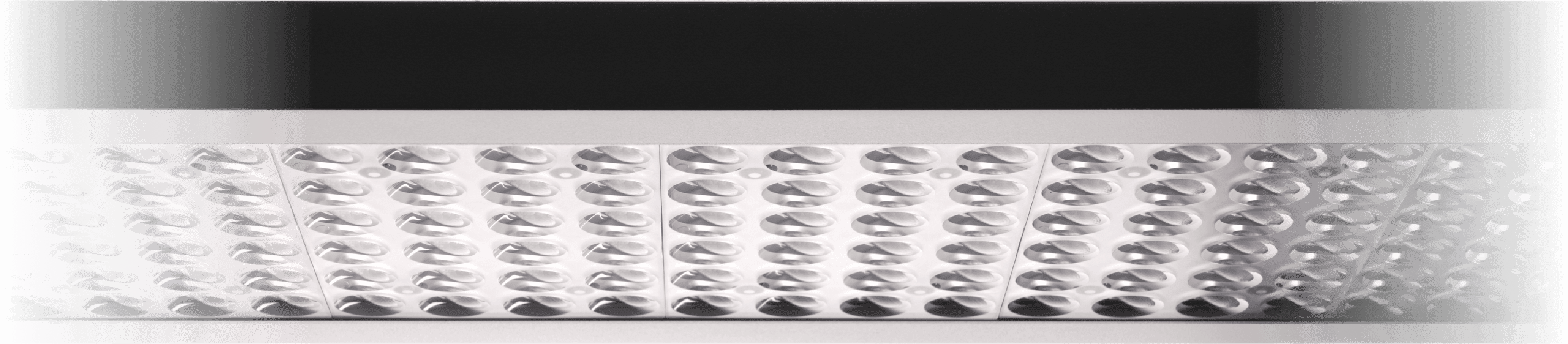 Max_Strapi Image 11.png