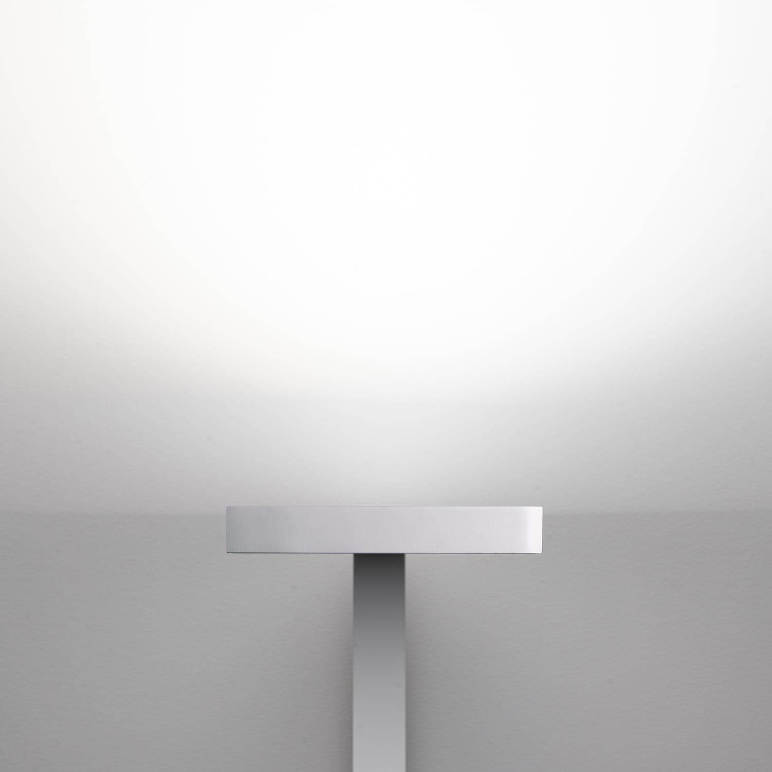 New 2025 - Image 03.jpg