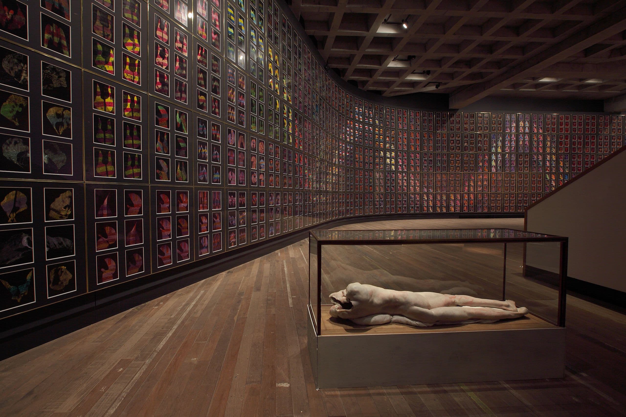 Snake (Rainbow Serpent) by Sidney Nolan. Lange eenzame man by Berlinde De Bruyckere, Museum of Old and New Art. Photographed by Rémi Chauvin