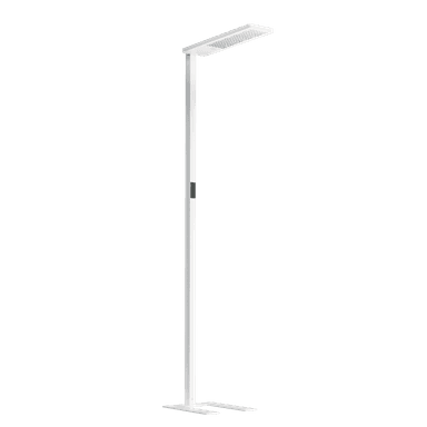 Max Freestanding Light