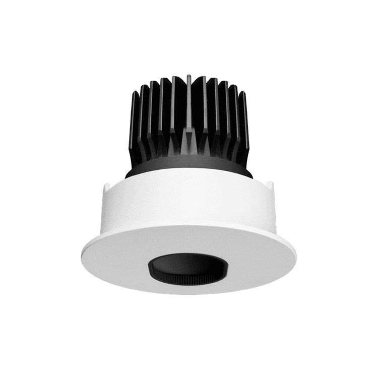 Particle Accent Downlight