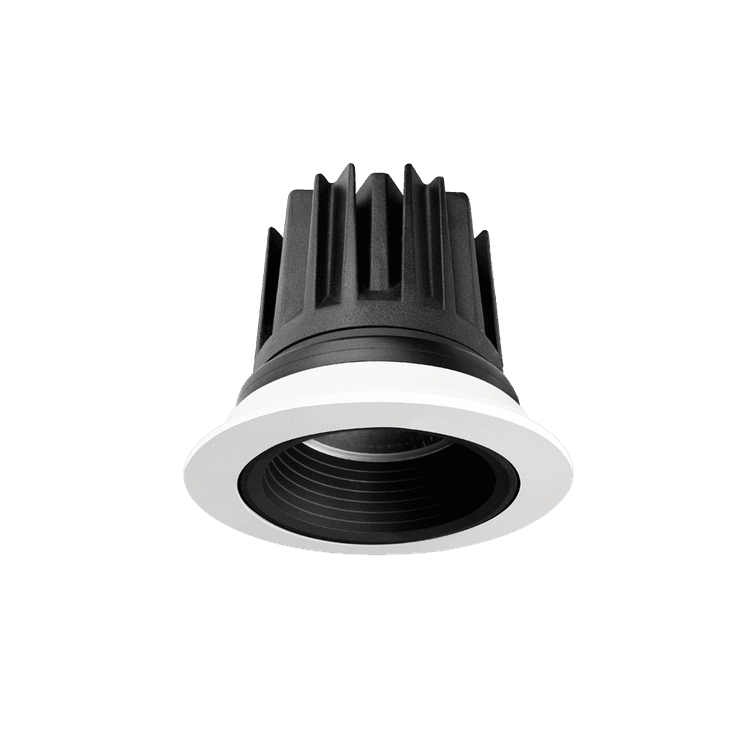 Particle Downlight