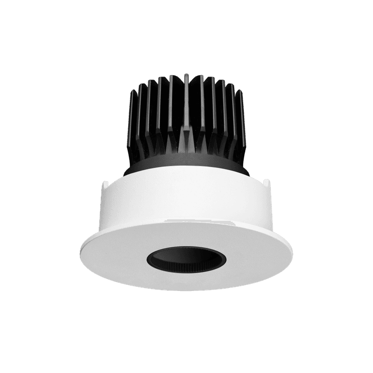 Particle Focus Downlight