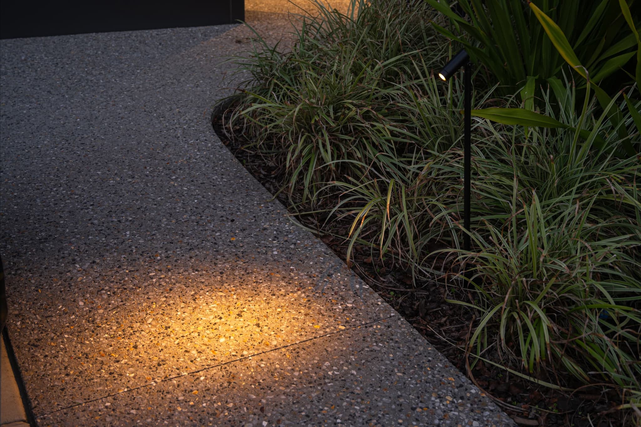 Locus Spotlight Series | Unios